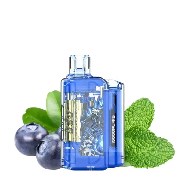 Blueberry Mint – IGET Flare B10000 Puffs disposable vape — genuine IGET stock, buy online in Australia