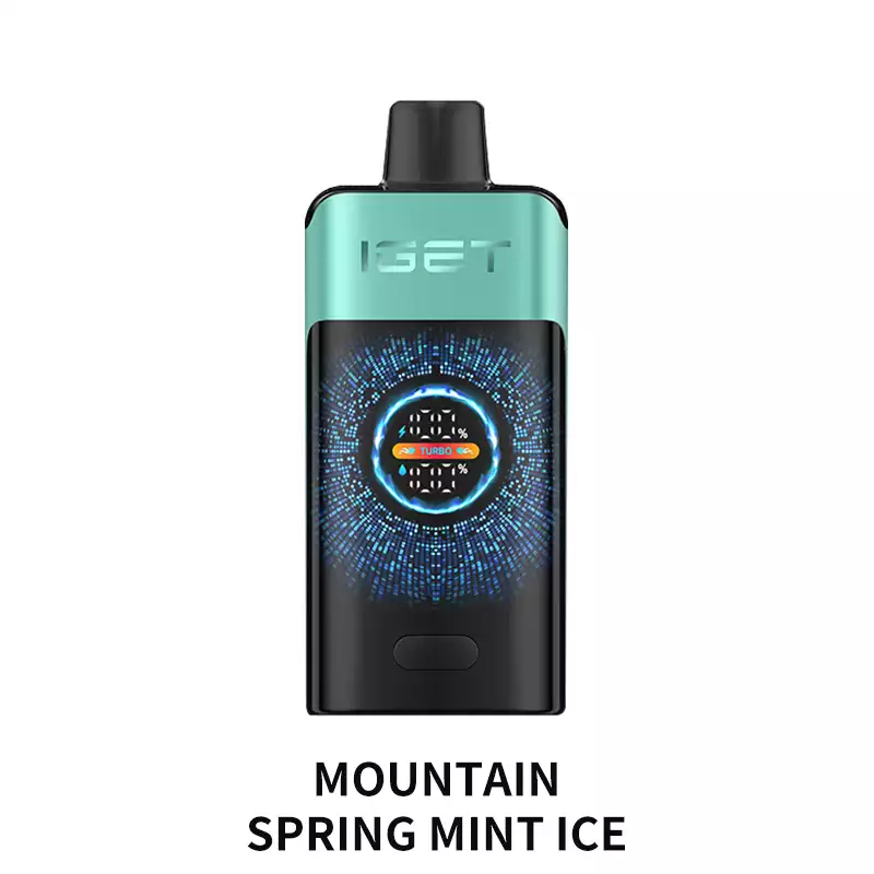 Mountain Spring Mint Ice IGET One 12000 Puffs disposable vape — genuine IGET stock, buy online in Australia