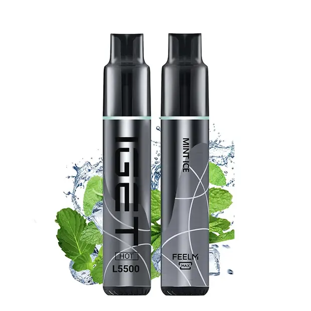 Mint Ice – IGET HOT 5500 Puffs disposable vape — genuine IGET stock, buy online in Australia