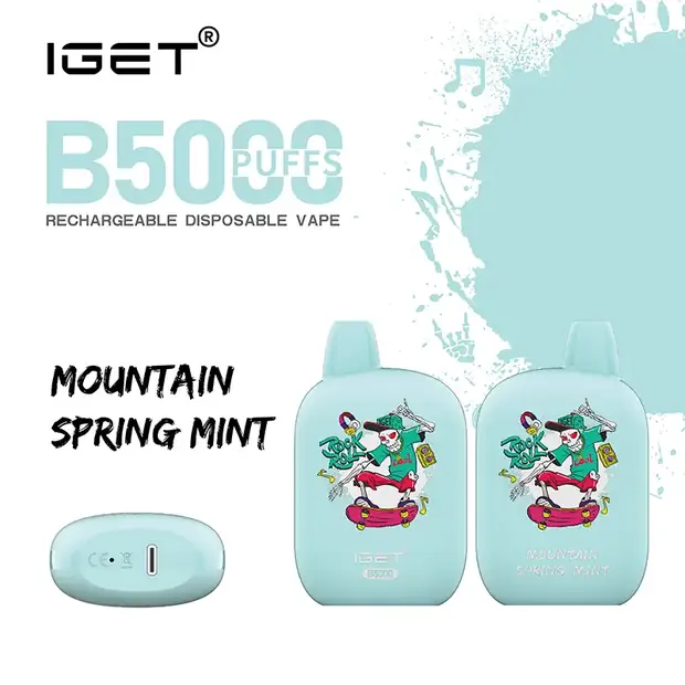 Mountain Spring Mint – IGET B5000 disposable vape — genuine IGET stock, buy online in Australia