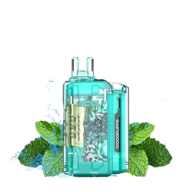 Mountain Spring Mint – IGET Flare B10000 Puffs disposable vape — genuine IGET stock, buy online in Australia